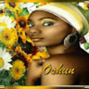 Meet your Posher, Lynn